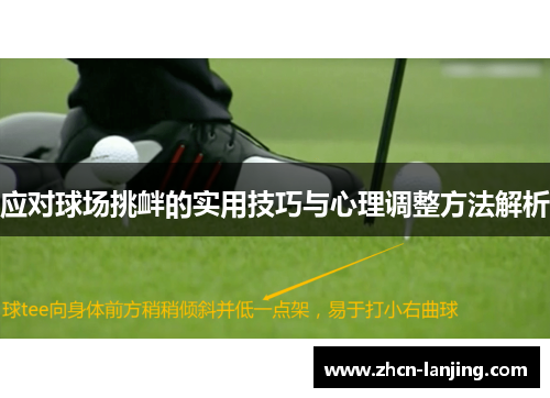 应对球场挑衅的实用技巧与心理调整方法解析