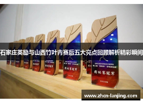 石家庄英励与山西竹叶青赛后五大亮点回顾解析精彩瞬间