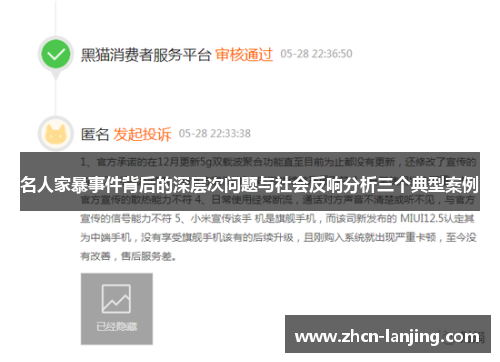 名人家暴事件背后的深层次问题与社会反响分析三个典型案例