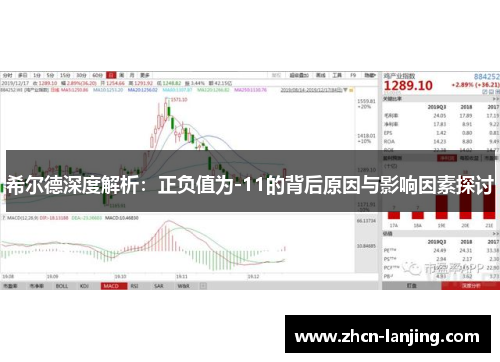 希尔德深度解析:正负值为-11的背后原因与影响因素探讨