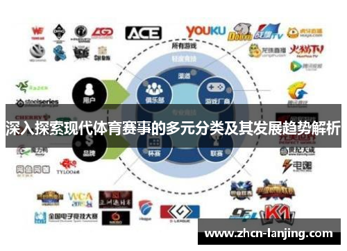 深入探索现代体育赛事的多元分类及其发展趋势解析