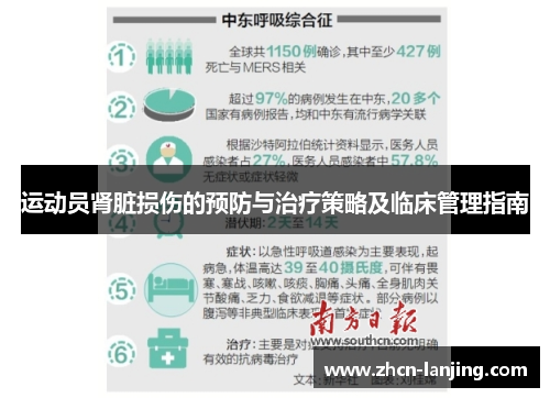 运动员肾脏损伤的预防与治疗策略及临床管理指南